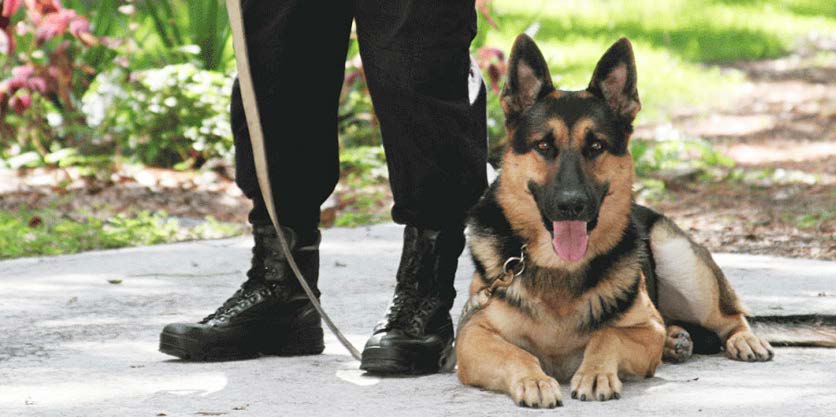 HGS K9 handler with dog